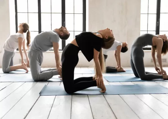 Jimnastik Dersleri 1