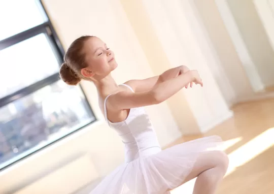 Görsel ALT Başlığı