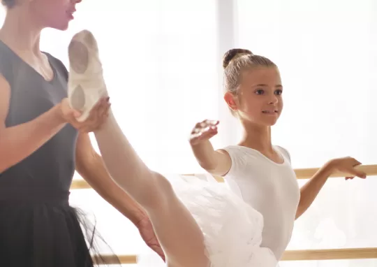 Görsel ALT Başlığı