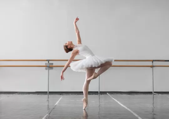 Ozel Ileri Seviye Bale Kurslari 1