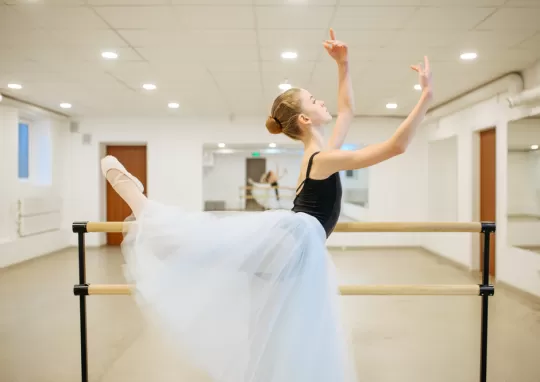 Görsel ALT Başlığı