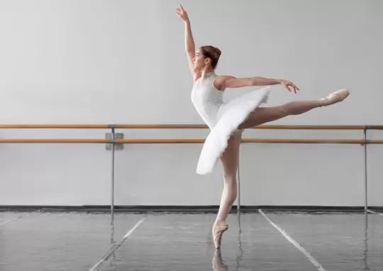 Görsel ALT Başlığı