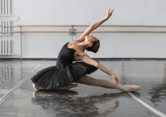 Görsel ALT Başlığı