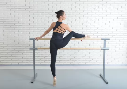 Görsel ALT Başlığı