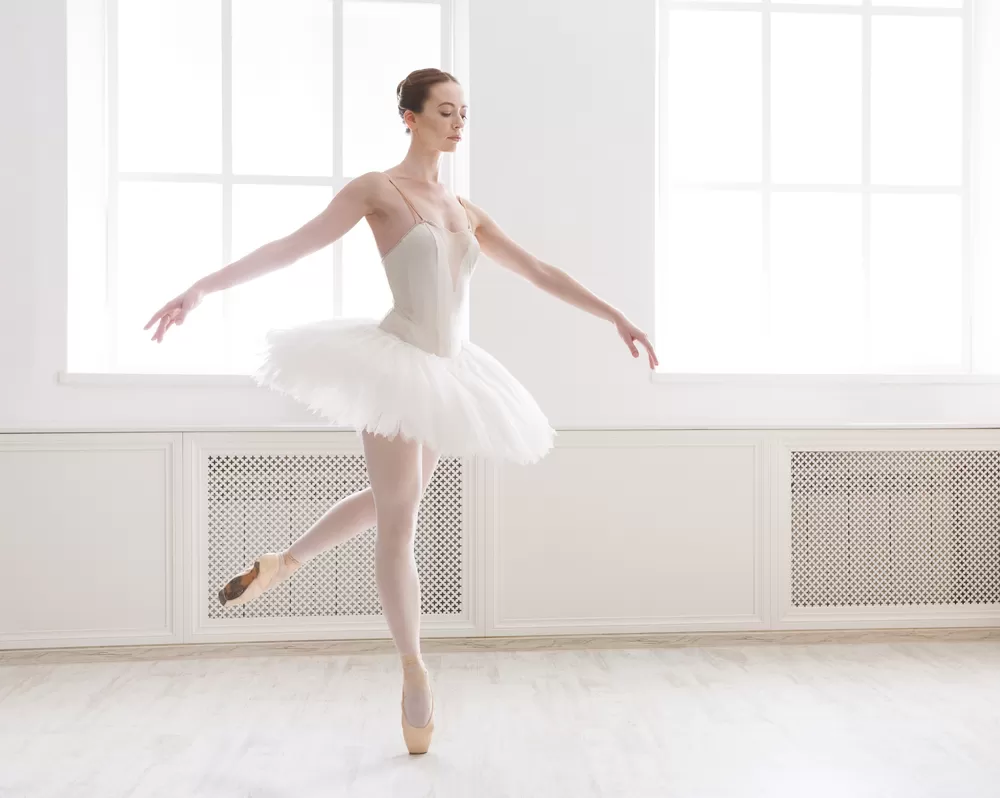 Görsel ALT Başlığı