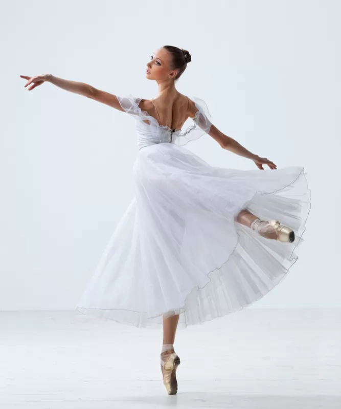 Bale Akademi Iletisim 29