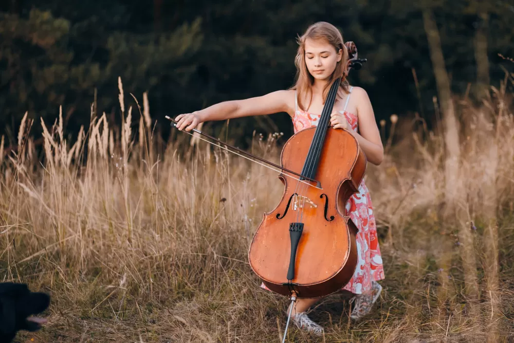 Görsel ALT Başlığı