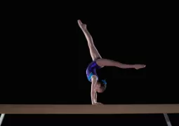 Görsel ALT Başlığı