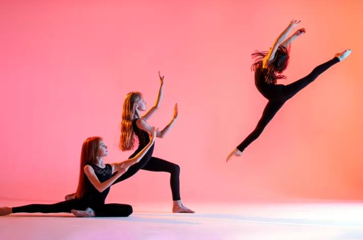 Görsel ALT Başlığı