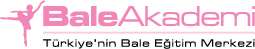Bale Akademi